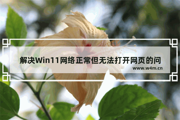 解决Win11网络正常但无法打开网页的问题的方法和解决方案