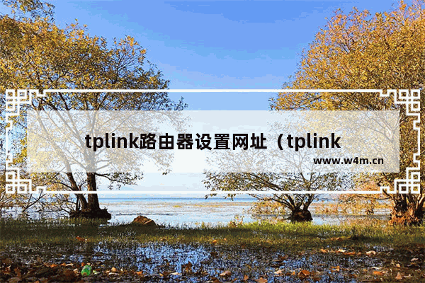 tplink路由器设置网址（tplink怎么设置网络参数）