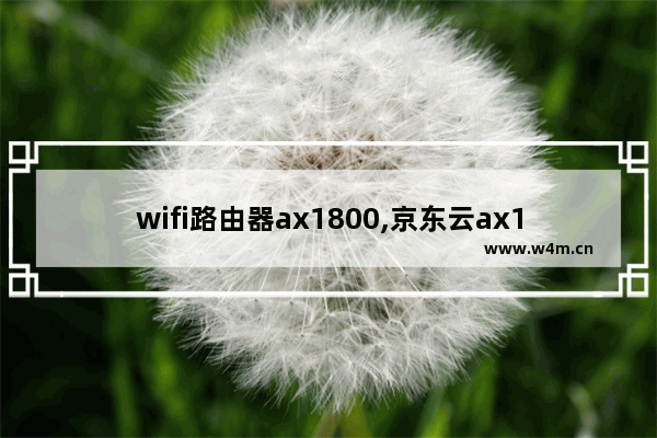 wifi路由器ax1800,京东云ax1800pro如何设置nat1