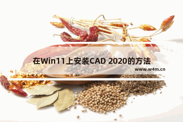 在Win11上安装CAD 2020的方法和步骤