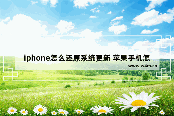 iphone怎么还原系统更新 苹果手机怎么还原更新