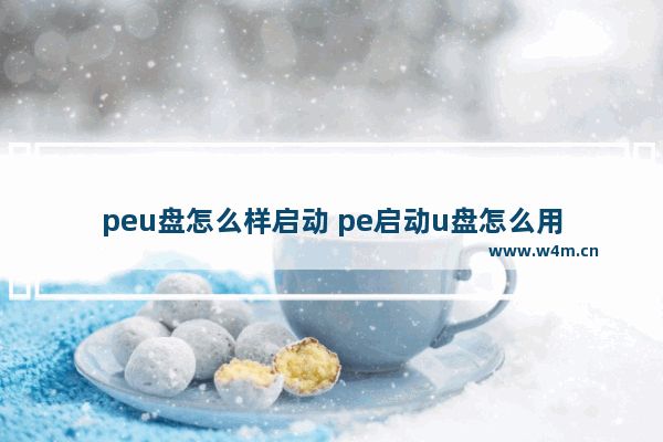 peu盘怎么样启动 pe启动u盘怎么用