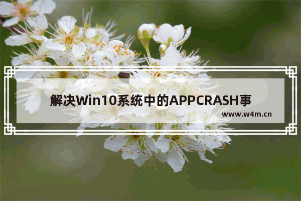 解决Win10系统中的APPCRASH事件的策略