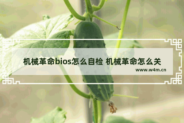 机械革命bios怎么自检 机械革命怎么关闭bios自检