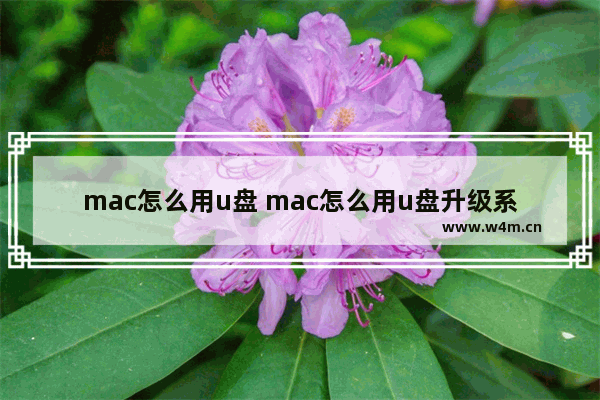 mac怎么用u盘 mac怎么用u盘升级系统