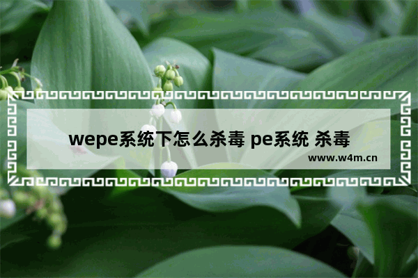 wepe系统下怎么杀毒 pe系统 杀毒