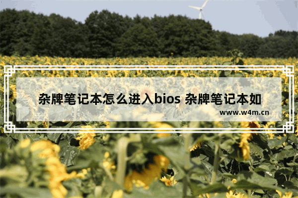 杂牌笔记本怎么进入bios 杂牌笔记本如何进入bios