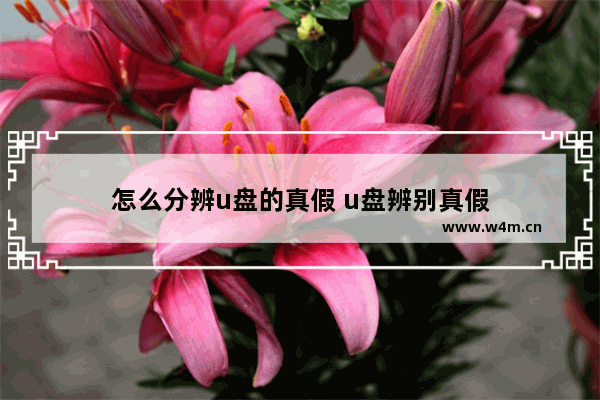 怎么分辨u盘的真假 u盘辨别真假