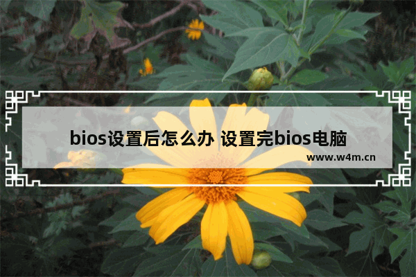 bios设置后怎么办 设置完bios电脑开机屏幕没反应