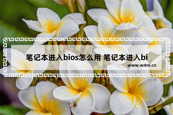 笔记本进入bios怎么用 笔记本进入bios怎么用鼠标