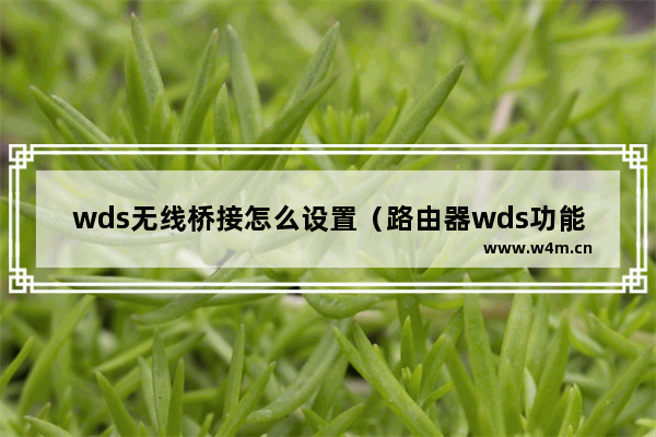 wds无线桥接怎么设置（路由器wds功能在哪打开）