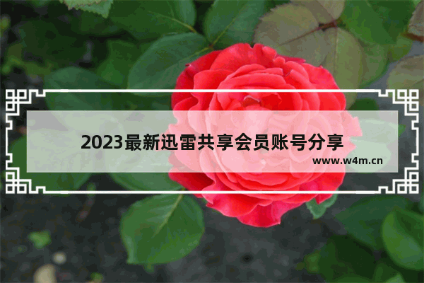 2023最新迅雷共享会员账号分享