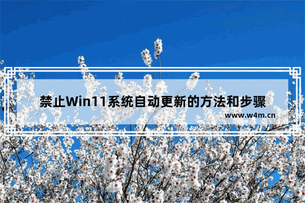 禁止Win11系统自动更新的方法和步骤