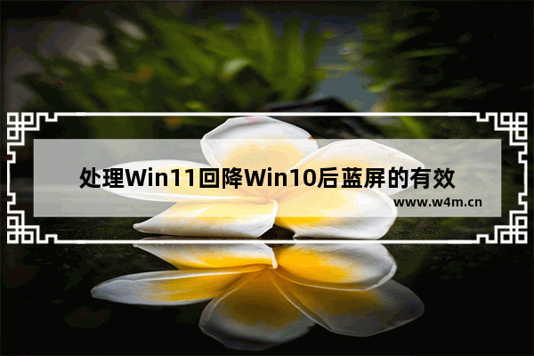 处理Win11回降Win10后蓝屏的有效方案