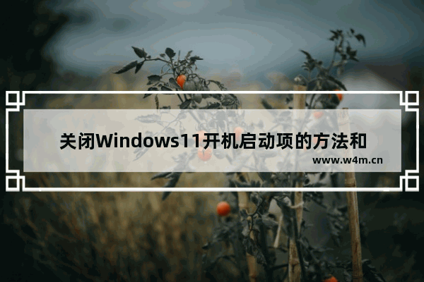 关闭Windows11开机启动项的方法和步骤