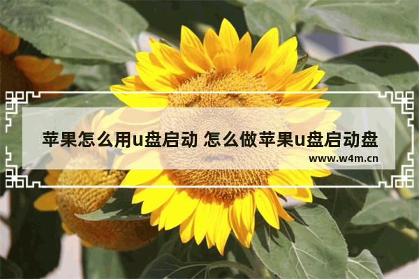 苹果怎么用u盘启动 怎么做苹果u盘启动盘