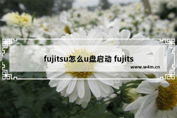 fujitsu怎么u盘启动 fujitsu电脑u盘启动