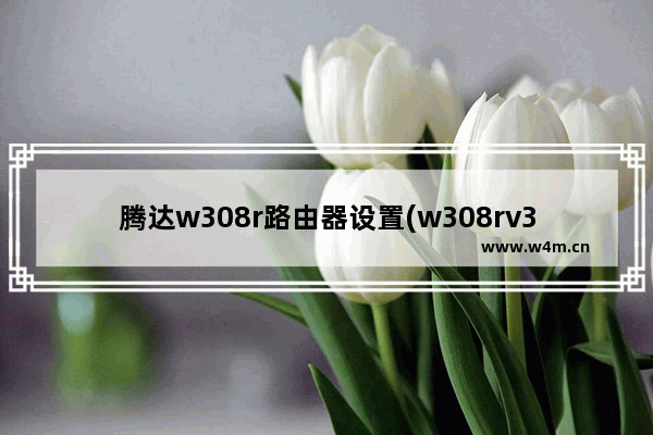 腾达w308r路由器设置(w308rv3腾达路由器设置教程)