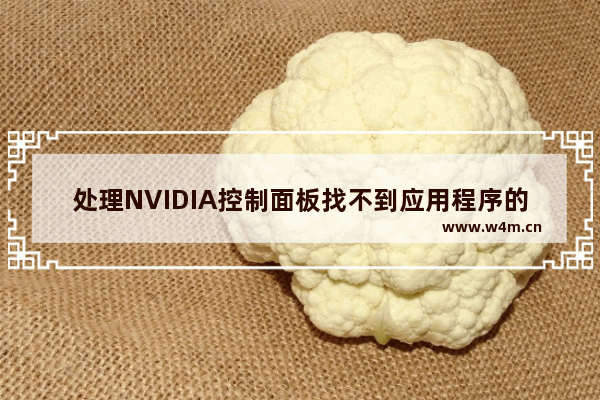 处理NVIDIA控制面板找不到应用程序的问题 - 解决NVIDIA控制面板提示找不到应用程序的方法