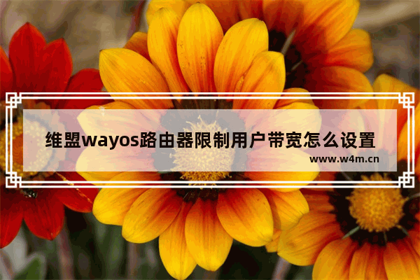 维盟wayos路由器限制用户带宽怎么设置?