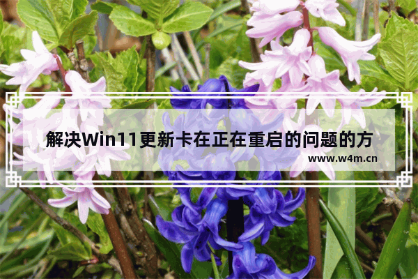 解决Win11更新卡在正在重启的问题的方法和步骤