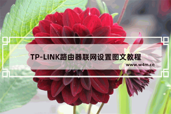 TP-LINK路由器联网设置图文教程