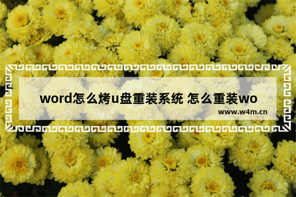 word怎么烤u盘重装系统 怎么重装word2019