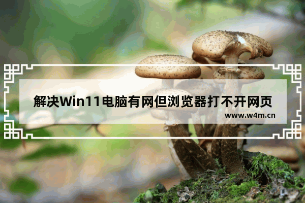 解决Win11电脑有网但浏览器打不开网页的问题的方法和步骤