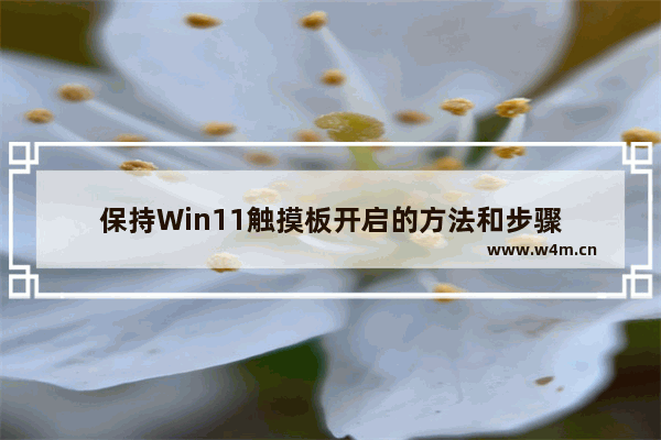 保持Win11触摸板开启的方法和步骤