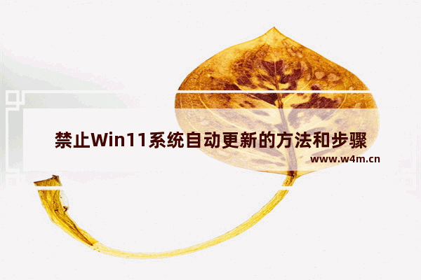 禁止Win11系统自动更新的方法和步骤