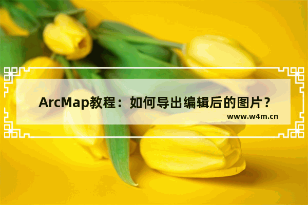 ArcMap教程：如何导出编辑后的图片？