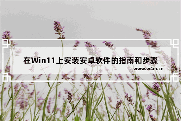 在Win11上安装安卓软件的指南和步骤