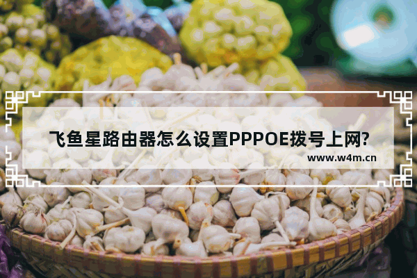 飞鱼星路由器怎么设置PPPOE拨号上网?