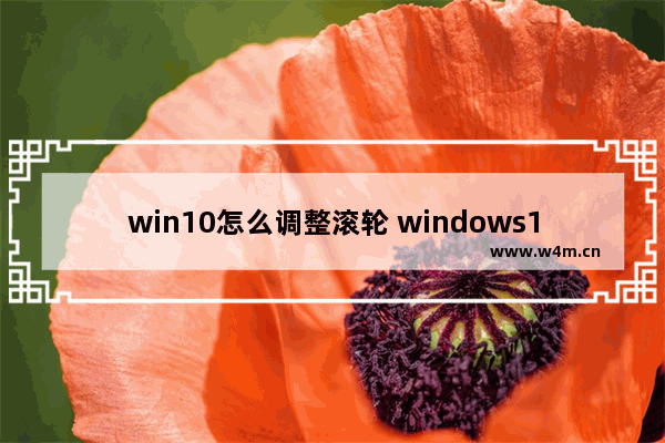 win10怎么调整滚轮 windows10滚轮调音量怎么取消