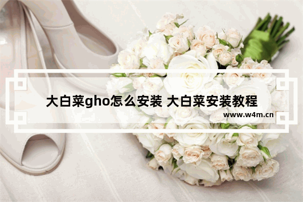 大白菜gho怎么安装 大白菜安装教程