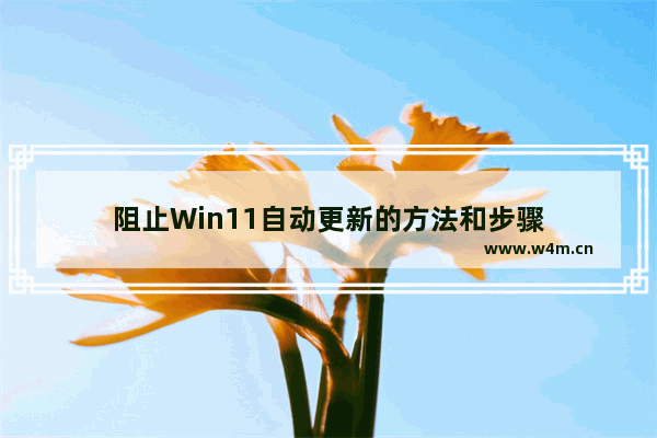 阻止Win11自动更新的方法和步骤