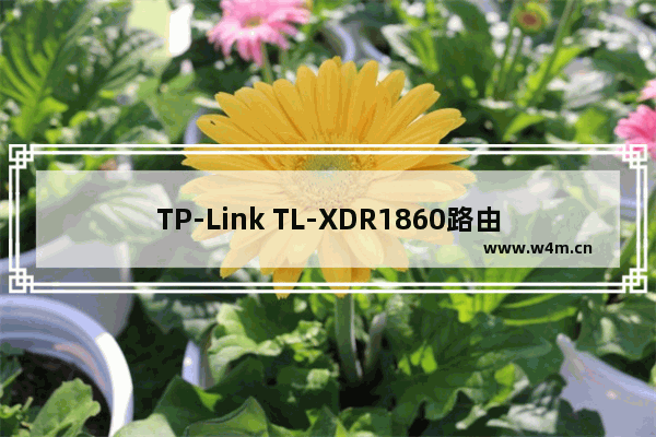 TP-Link TL-XDR1860路由器wifi密码怎么设置？