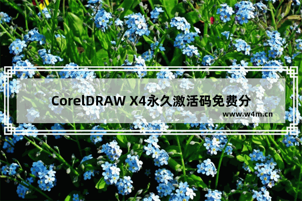 CorelDRAW X4永久激活码免费分享 - 获取CorelDRAW X4的永久激活码