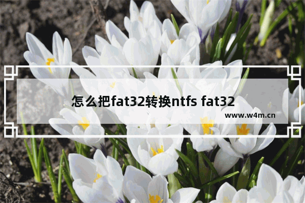 怎么把fat32转换ntfs fat32转换成ntfs文件还能保留吗