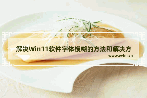 解决Win11软件字体模糊的方法和解决方案