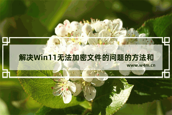 解决Win11无法加密文件的问题的方法和步骤