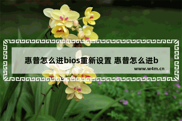 惠普怎么进bios重新设置 惠普怎么进bios重新设置u盘启动