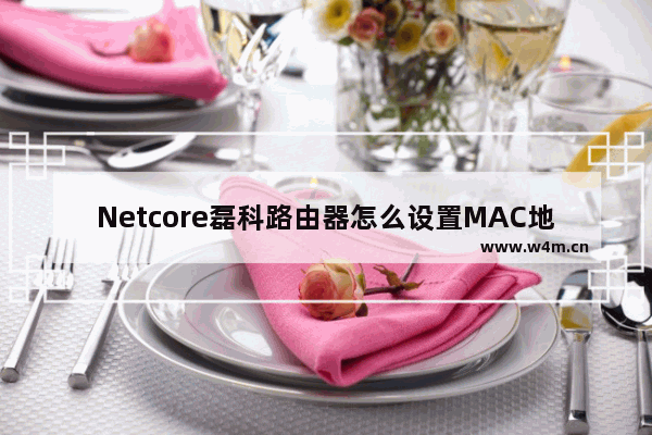 Netcore磊科路由器怎么设置MAC地址过滤 磊科路由器设置MAC地址过滤方法【详解】