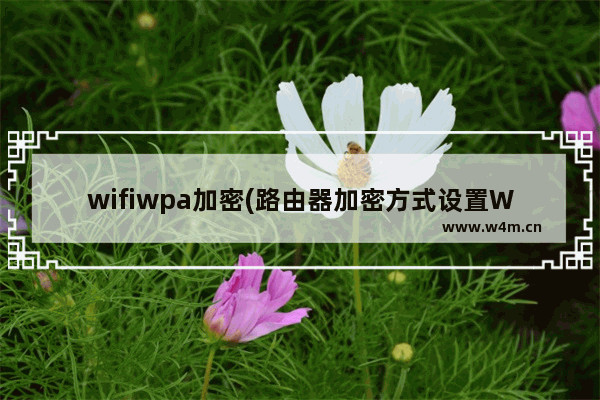 wifiwpa加密(路由器加密方式设置WPA)