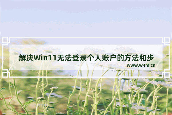 解决Win11无法登录个人账户的方法和步骤