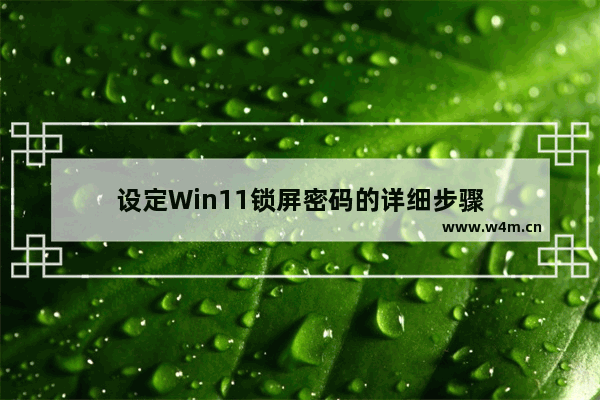 设定Win11锁屏密码的详细步骤