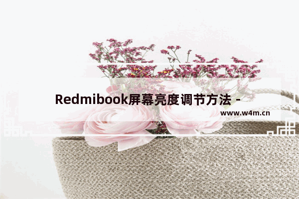 Redmibook屏幕亮度调节方法 - 如何调整Redmibook屏幕亮度