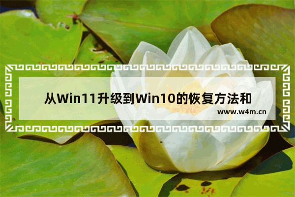 从Win11升级到Win10的恢复方法和步骤