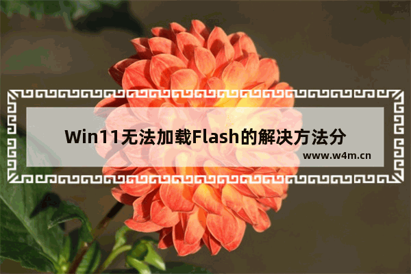 Win11无法加载Flash的解决方法分享