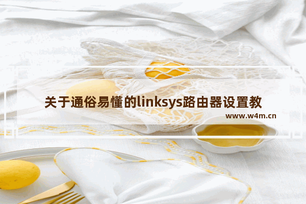 关于通俗易懂的linksys路由器设置教程